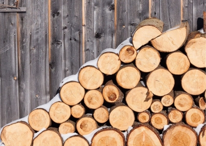Кабмін продовжив заборону на експорт газу та дров на 2023 року