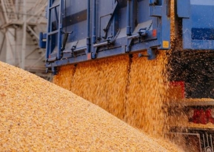 Відновлено транзит української агропродукції через Польщу
